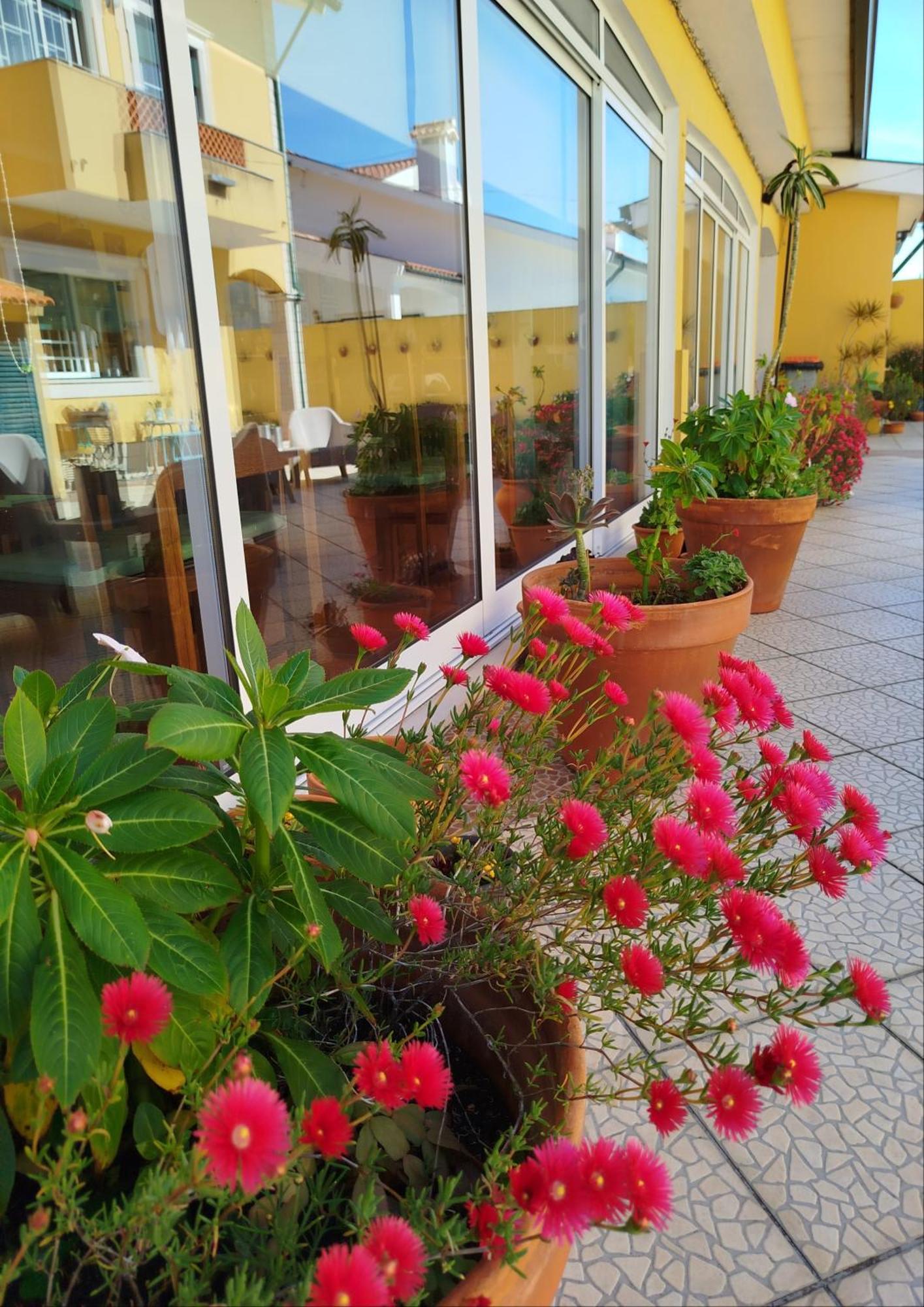 Hotel A Casa da Ti Laura - AL Aveiro Esterno foto